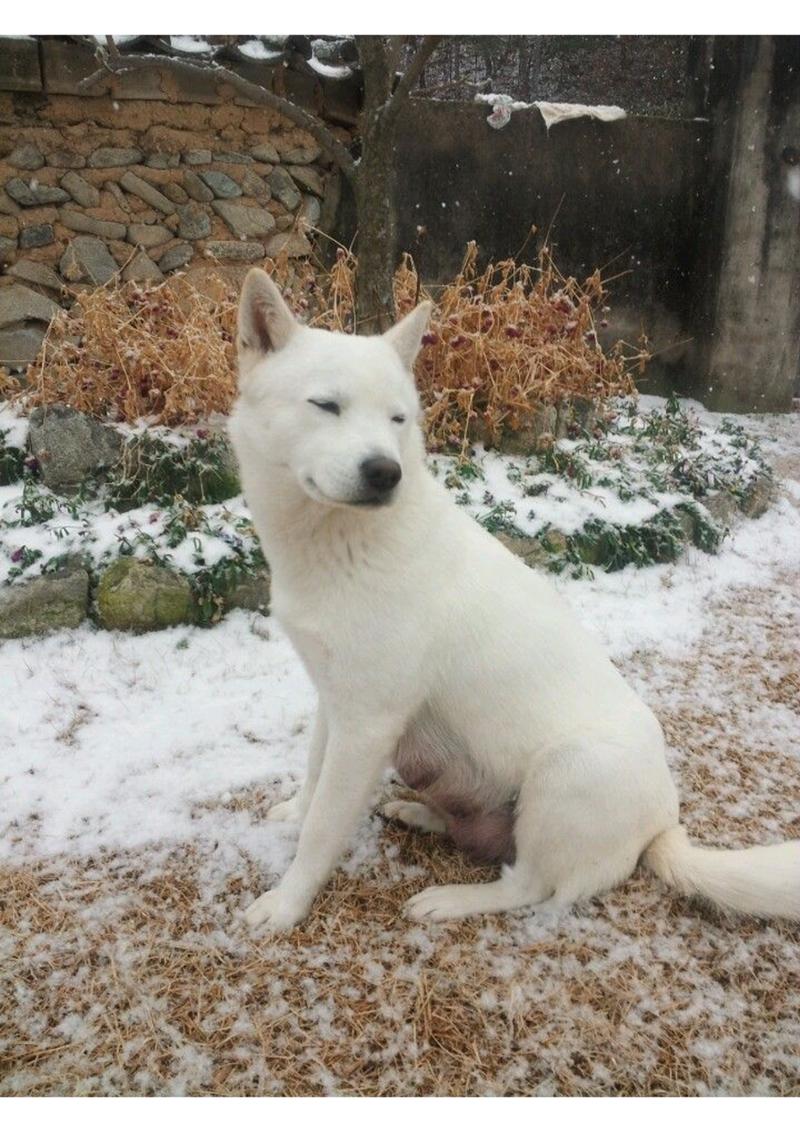 첫눈과 천사들 1페이지