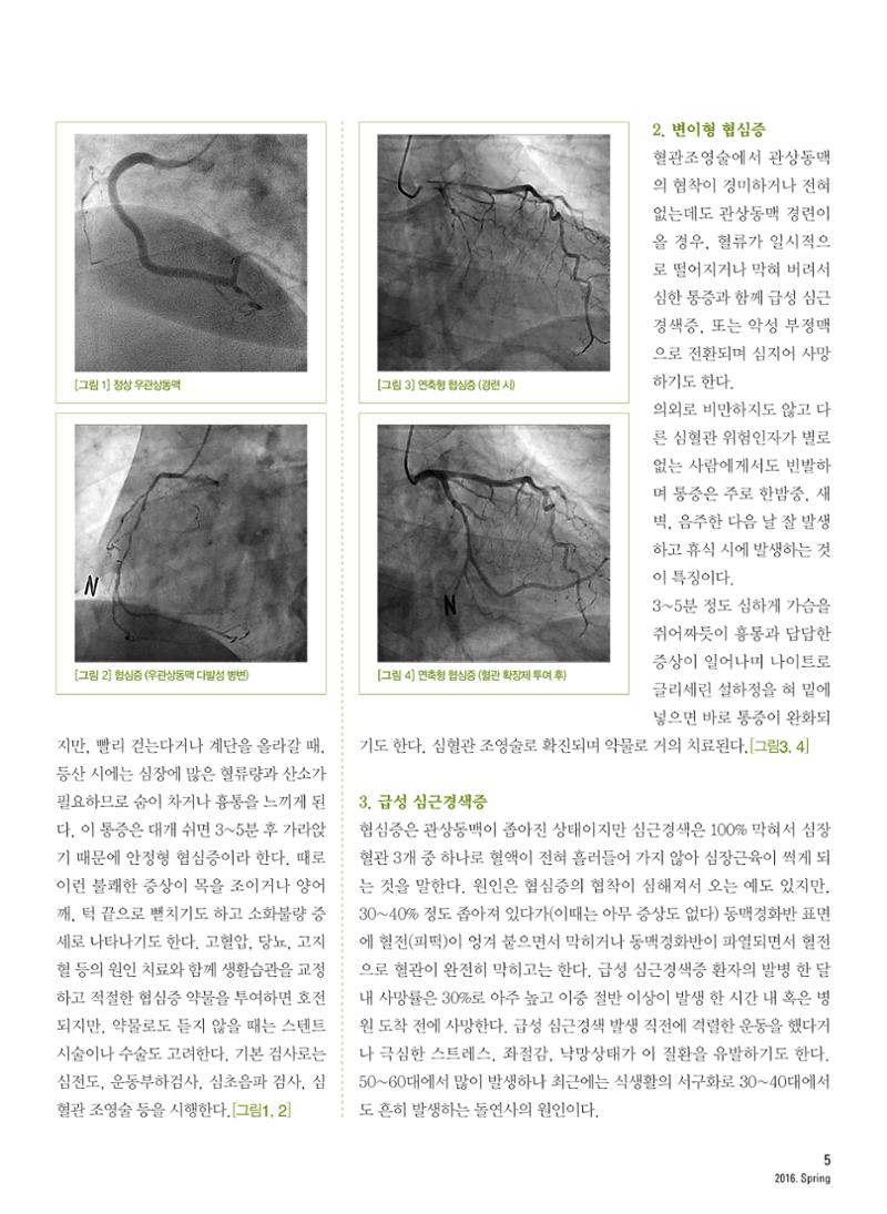 2016 심장소식 봄호 6페이지
