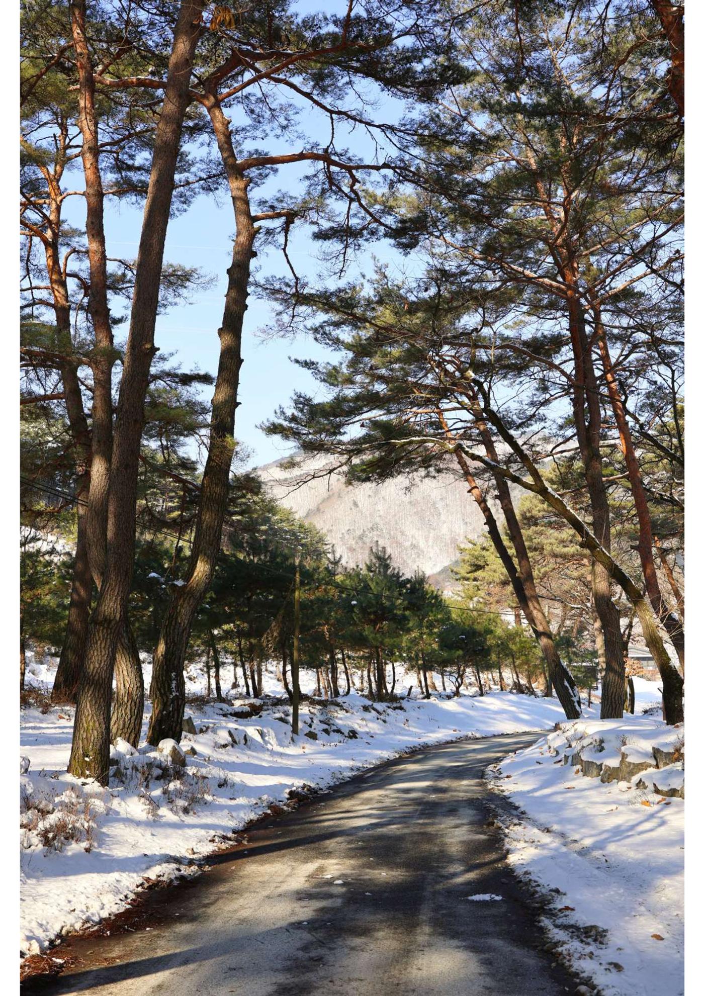 가족 여행 6페이지
