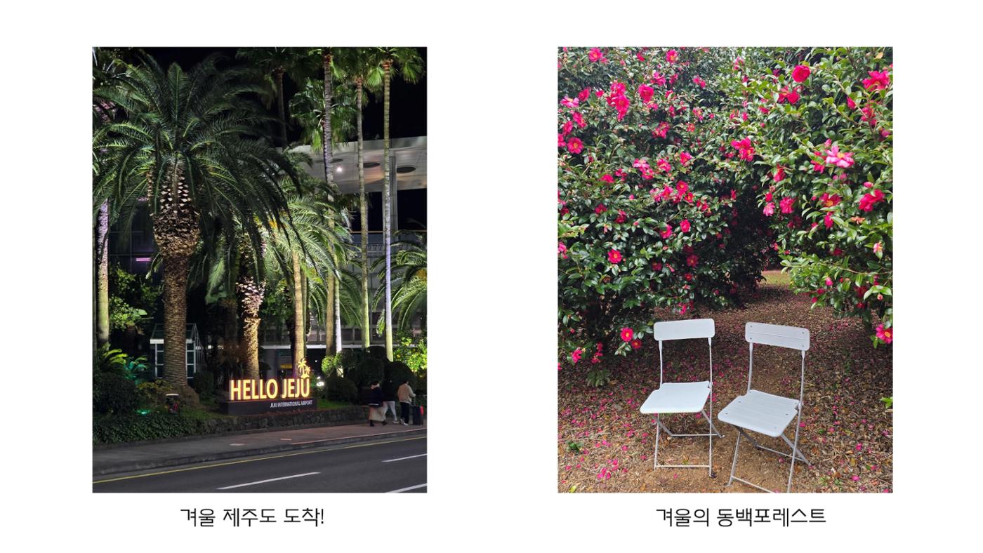 제주도 여행 자랑하기 2페이지