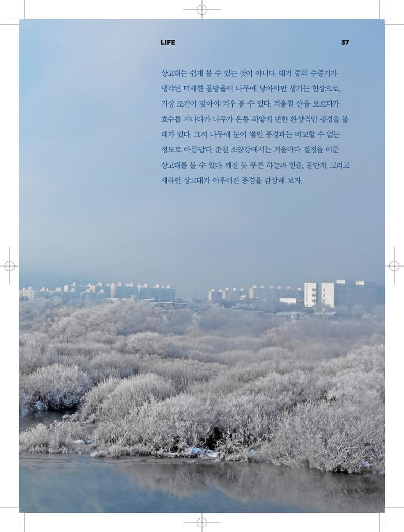 춘천문화놀이매거진 POT 3호 39페이지