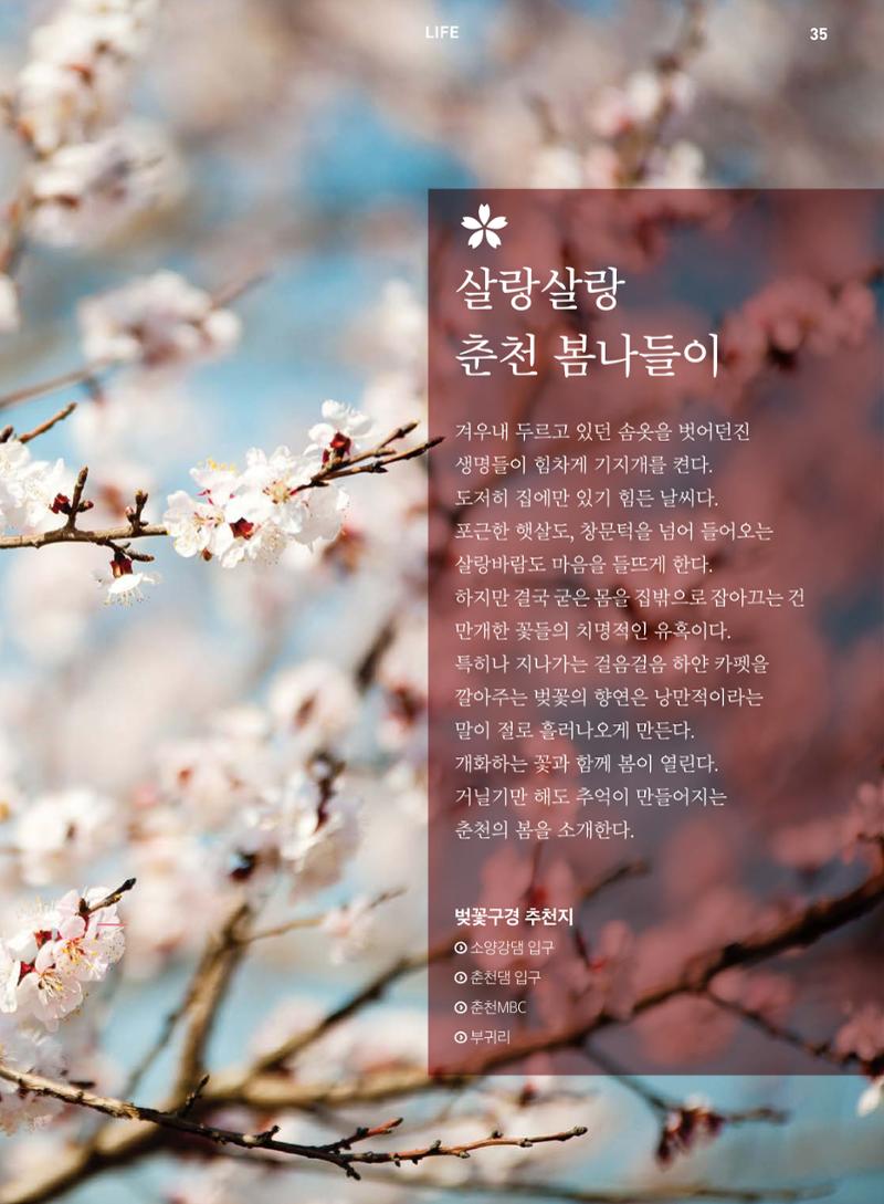 춘천문화놀이매거진 POT 4호 37페이지