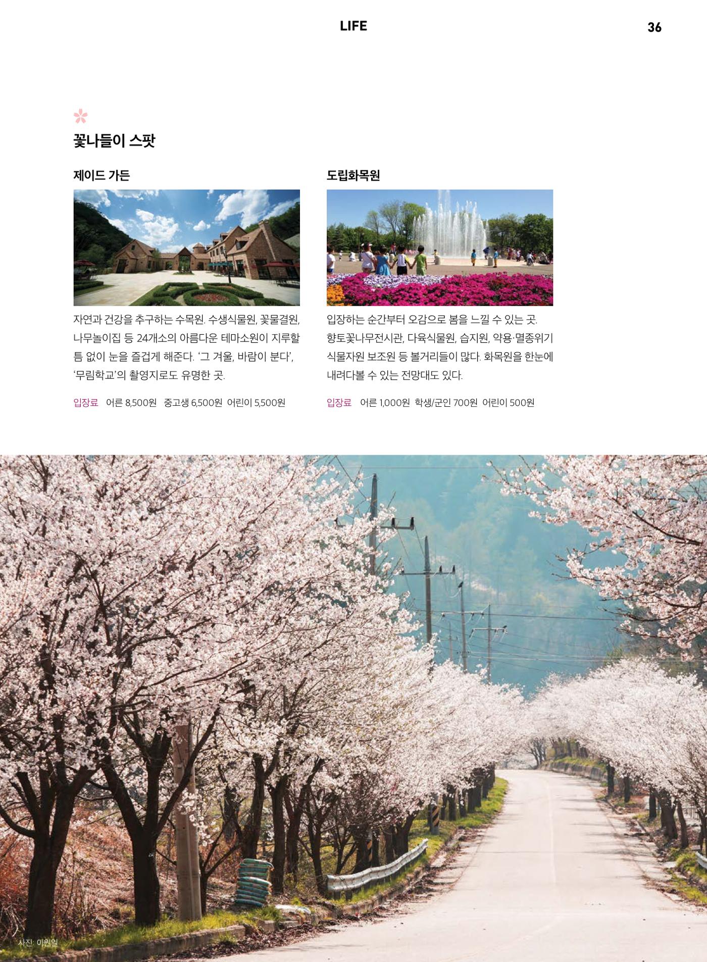 춘천문화놀이매거진 POT 4호 38페이지