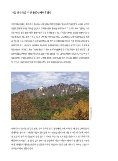 춘천문화놀이매거진 POT 16호 28페이지