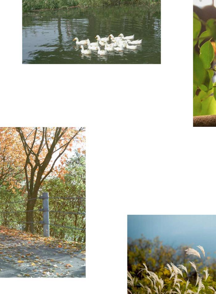 춘천문화놀이매거진 POT 24호 6페이지