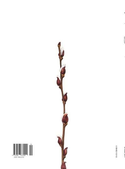 춘천문화놀이매거진 POT 10호 60페이지