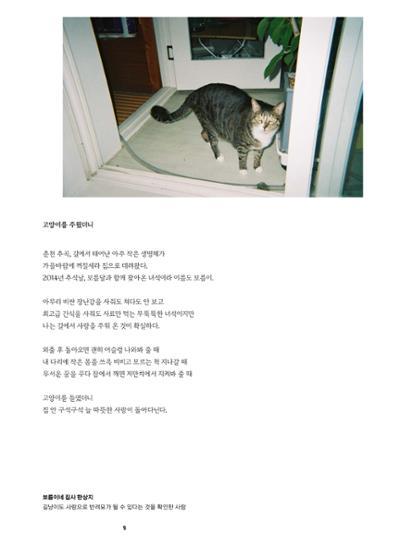 춘천문화놀이매거진 POT 36호 11페이지