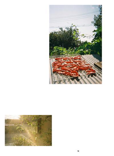 춘천문화놀이매거진 POT 36호 12페이지
