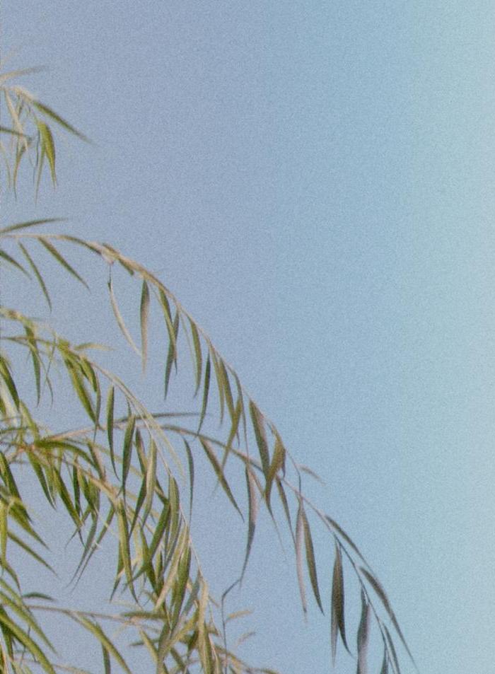 춘천문화놀이매거진 POT 32호 79페이지