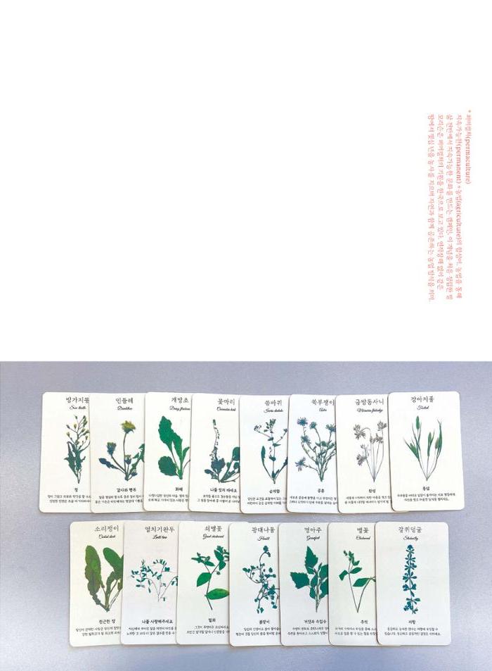 춘천문화놀이매거진 POT 34호 33페이지