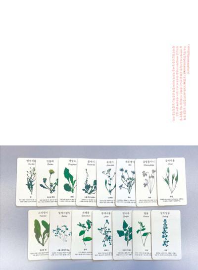 춘천문화놀이매거진 POT 34호 33페이지