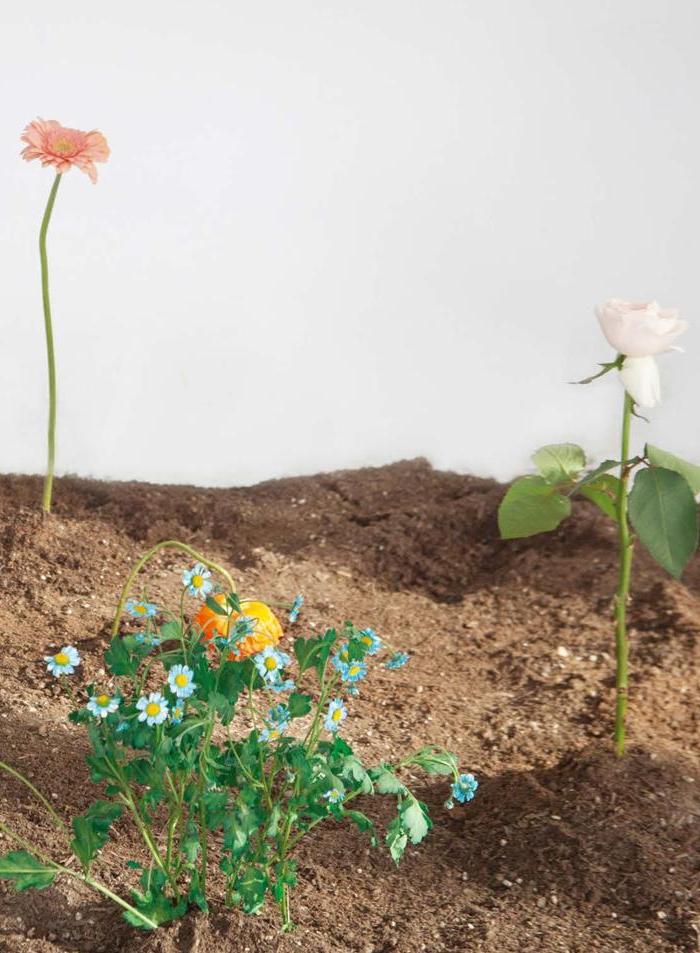 춘천문화놀이매거진 POT 34호 21페이지