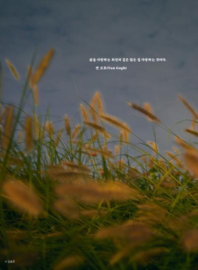 춘천문화놀이매거진 POT 40호 2페이지