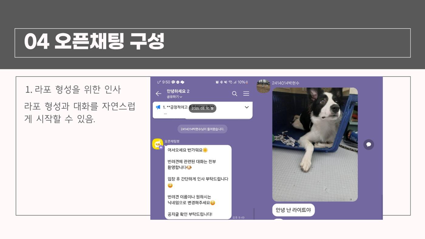 강아지 온라인 커뮤니티 기획 11페이지