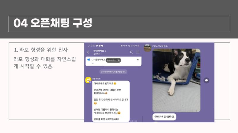강아지 온라인 커뮤니티 기획 11페이지