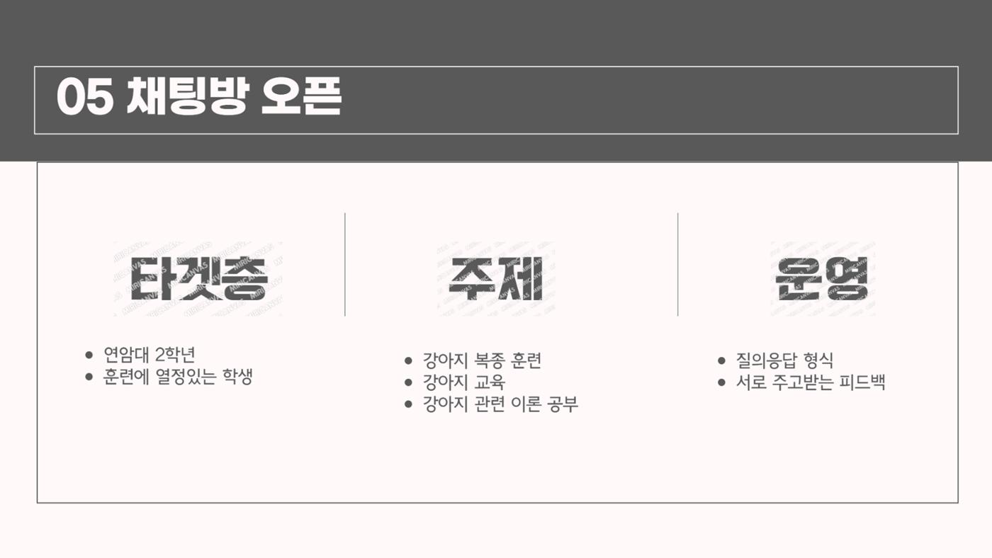강아지 온라인 커뮤니티 기획 16페이지