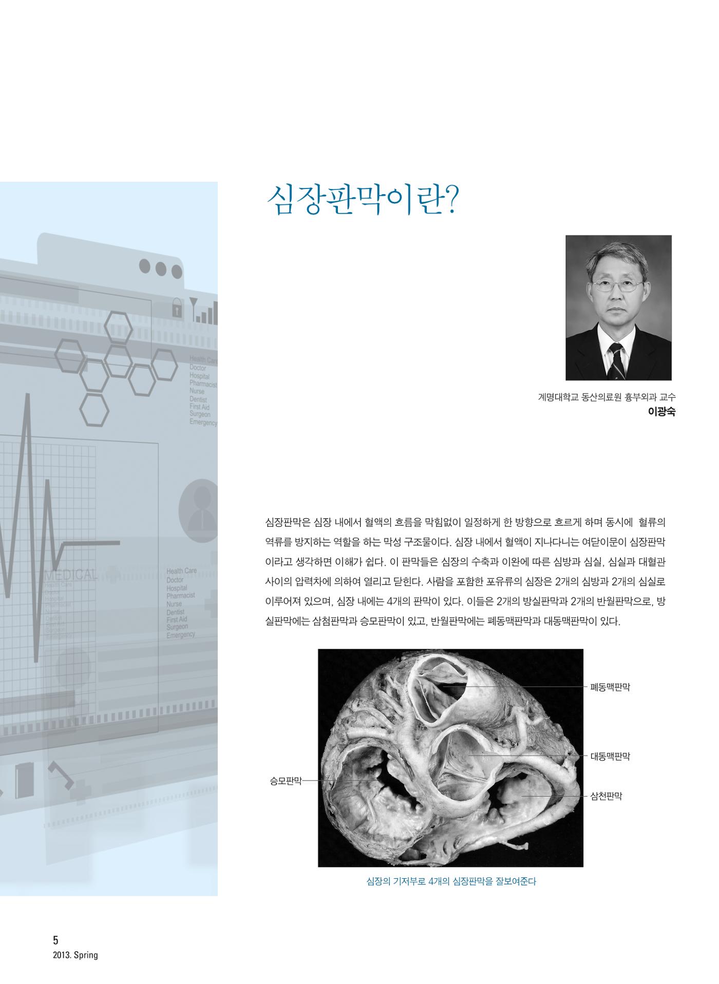 2013 심장소식 봄호 97호 6페이지
