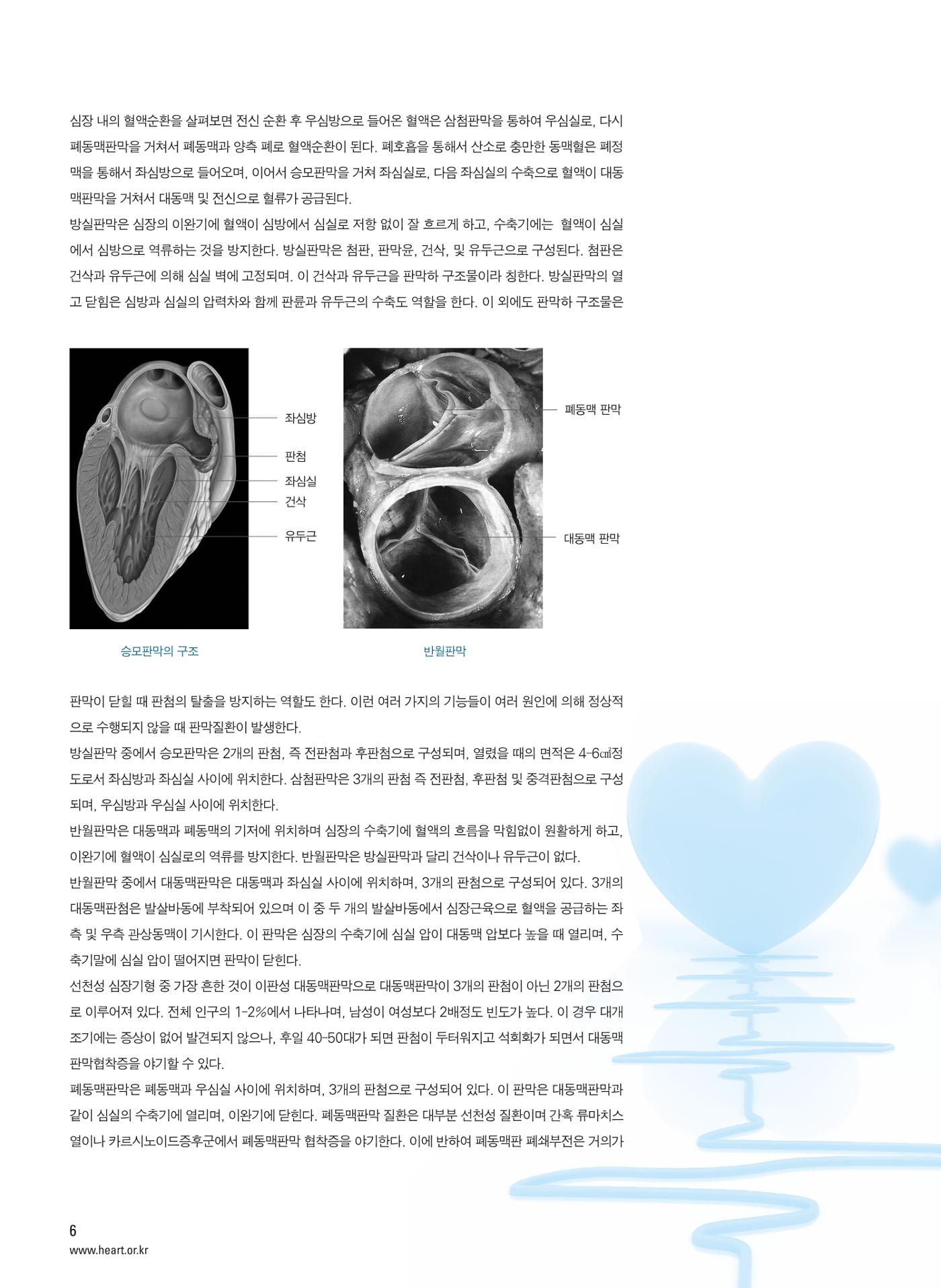 2013 심장소식 봄호 97호 7페이지
