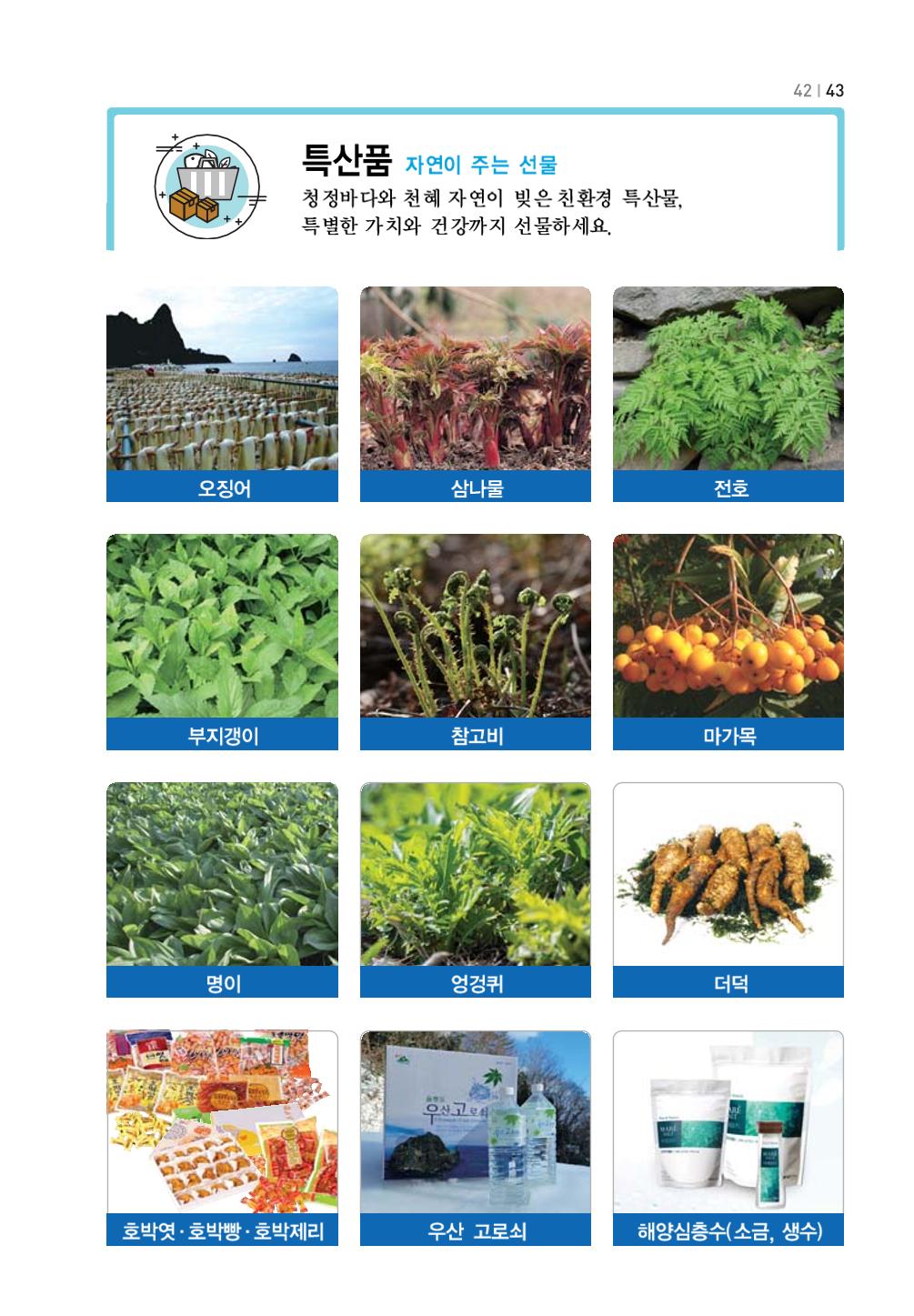 울릉도 가이드북 45페이지