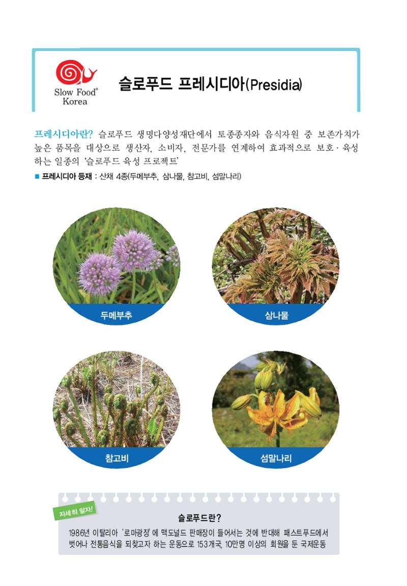 울릉도 가이드북 42페이지