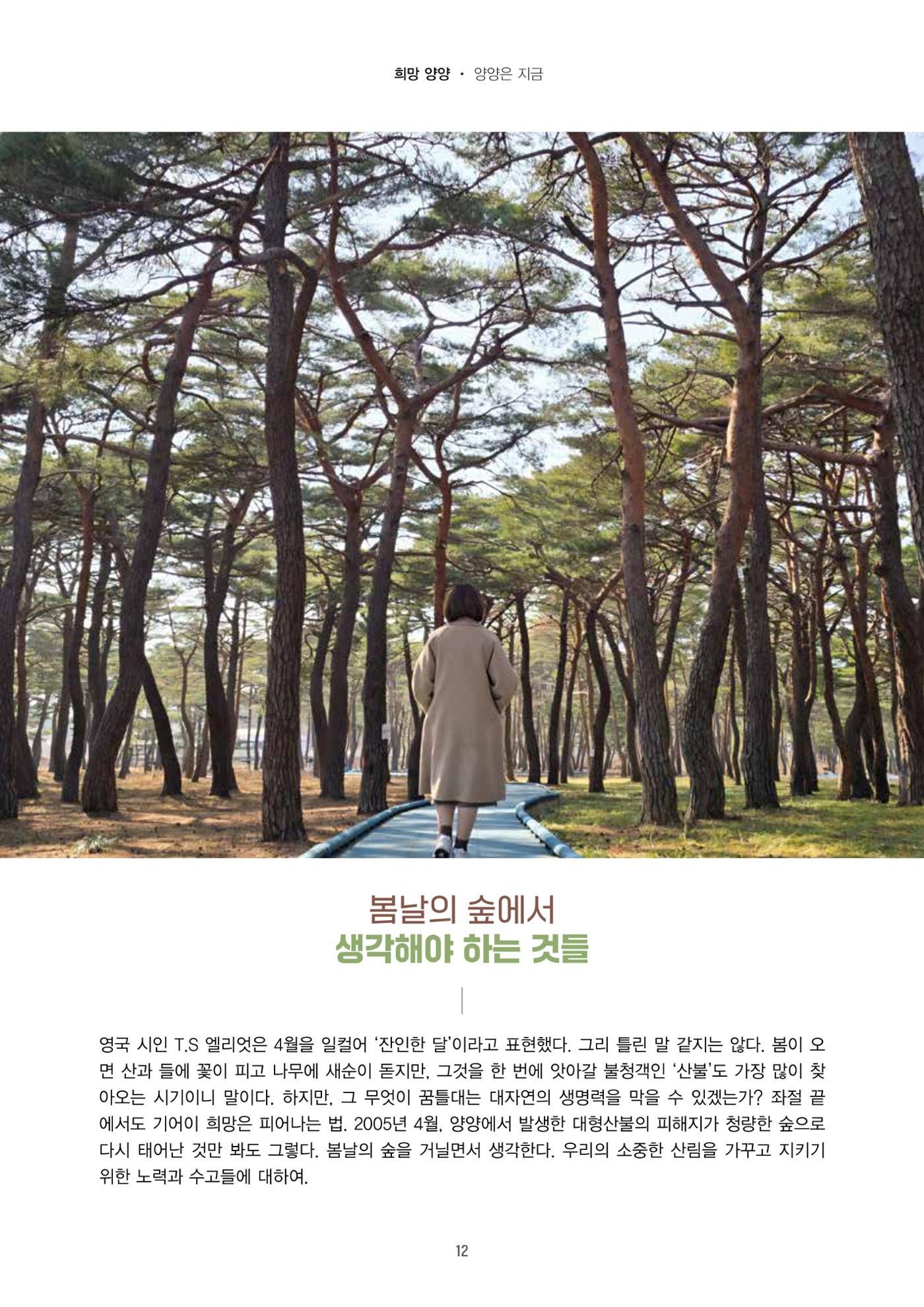 양양소식지 2025. 4월호 12페이지