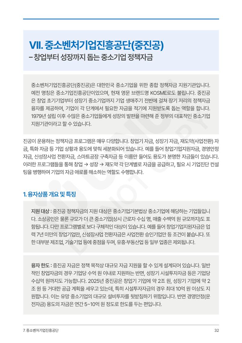 정부보증&정책자금 합격의 모든 것 32페이지