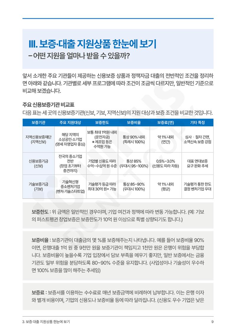 정부보증&정책자금 합격의 모든 것 9페이지