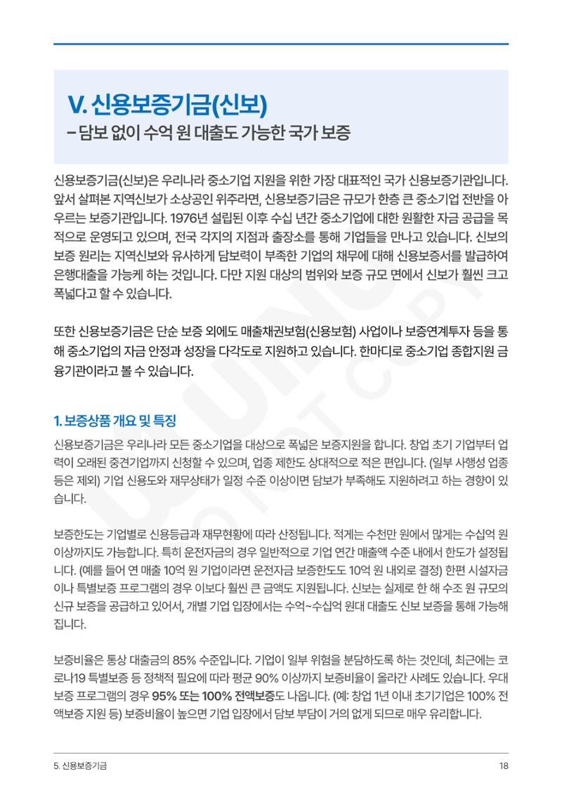 정부보증&정책자금 합격의 모든 것 18페이지