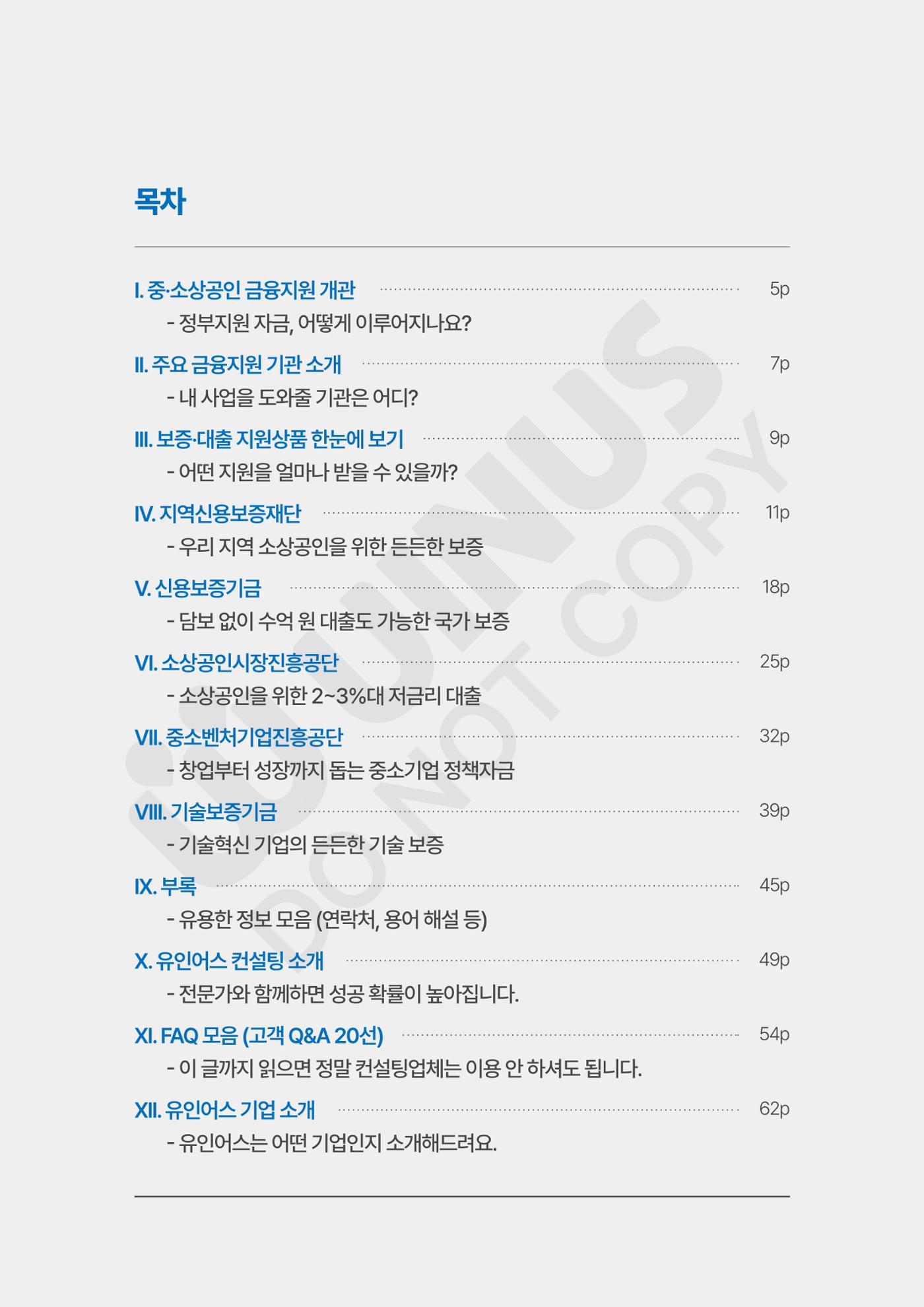 정부보증&정책자금 합격의 모든 것 4페이지