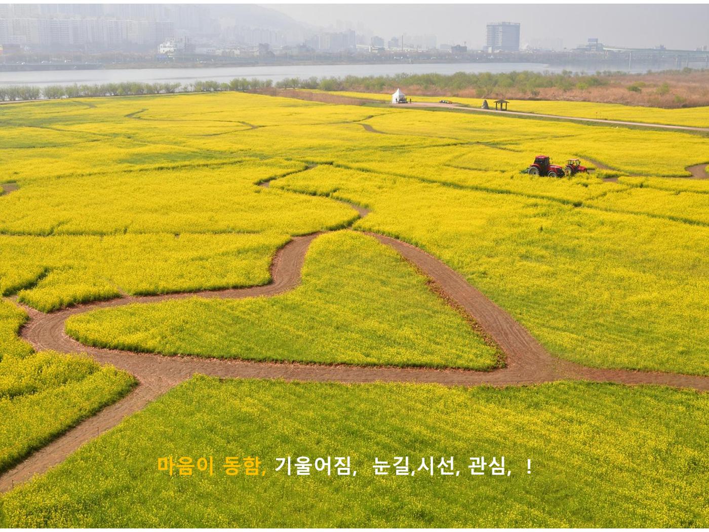 생활명상과 ai 6페이지