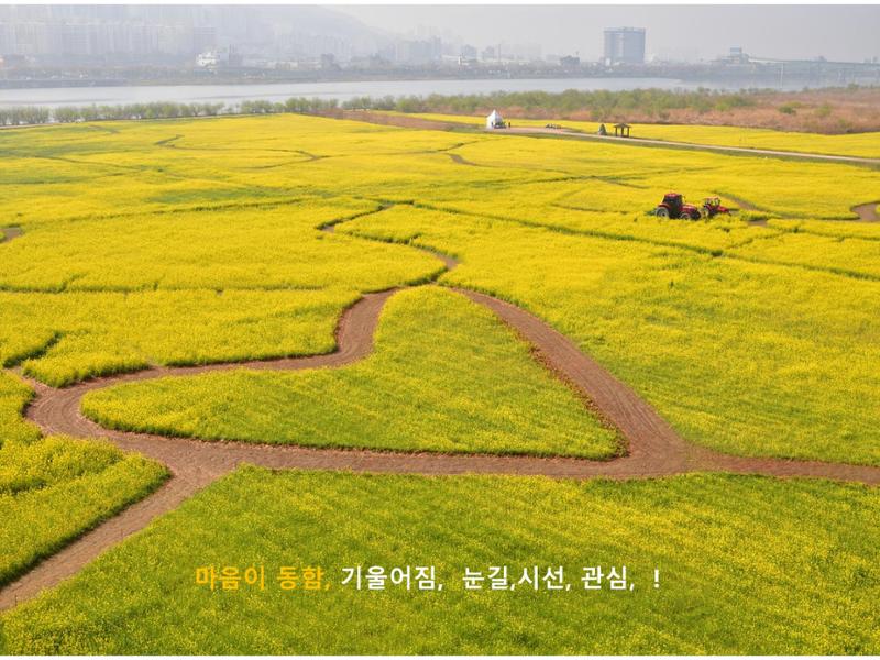 생활명상과 ai 6페이지