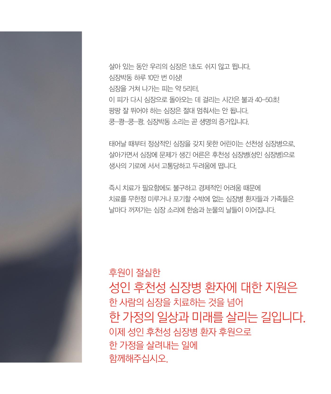 2025 모금브로셔 3페이지
