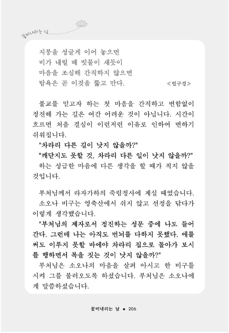 꽃비내리는날 210페이지