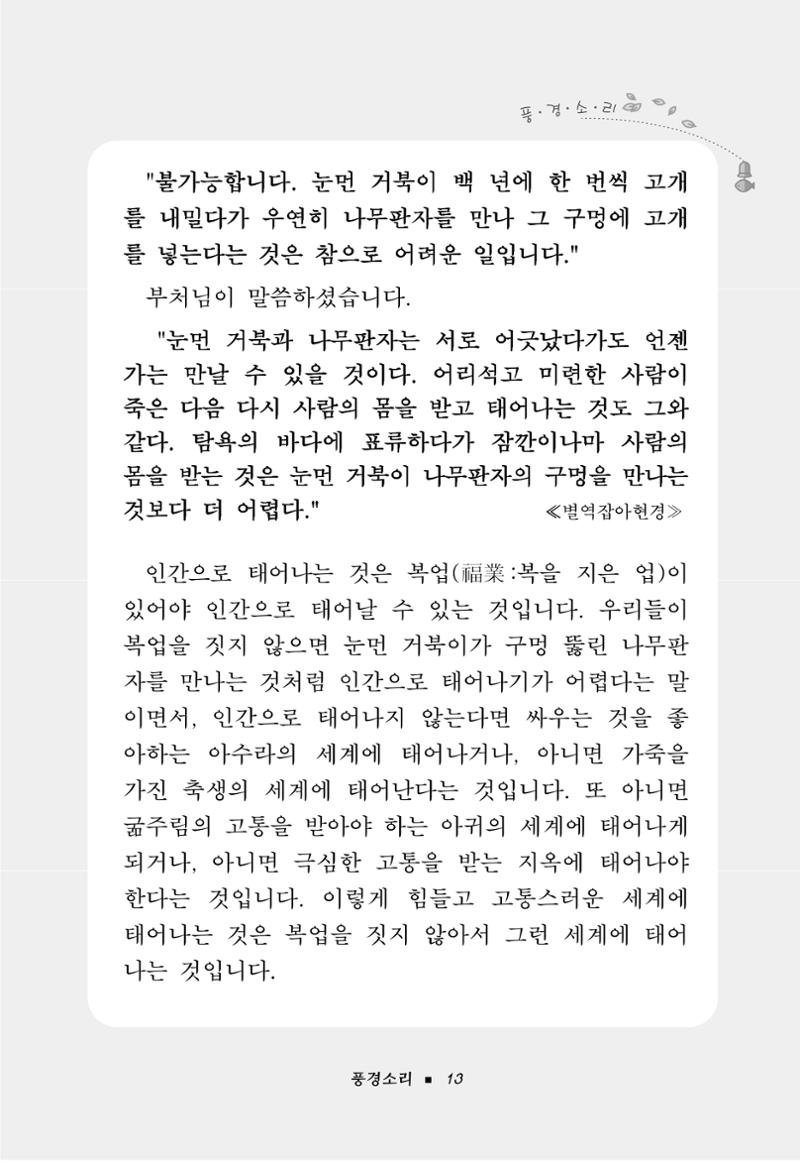 꽃비내리는날 17페이지