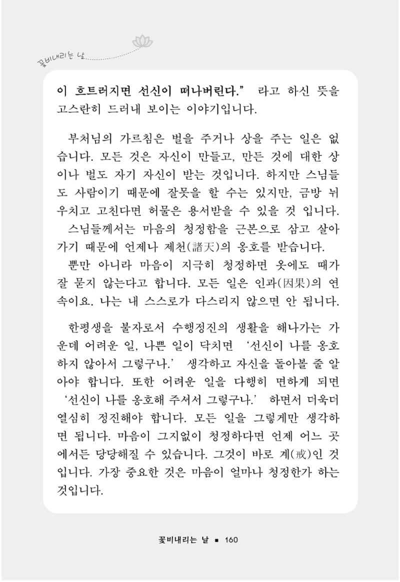 꽃비내리는날 164페이지