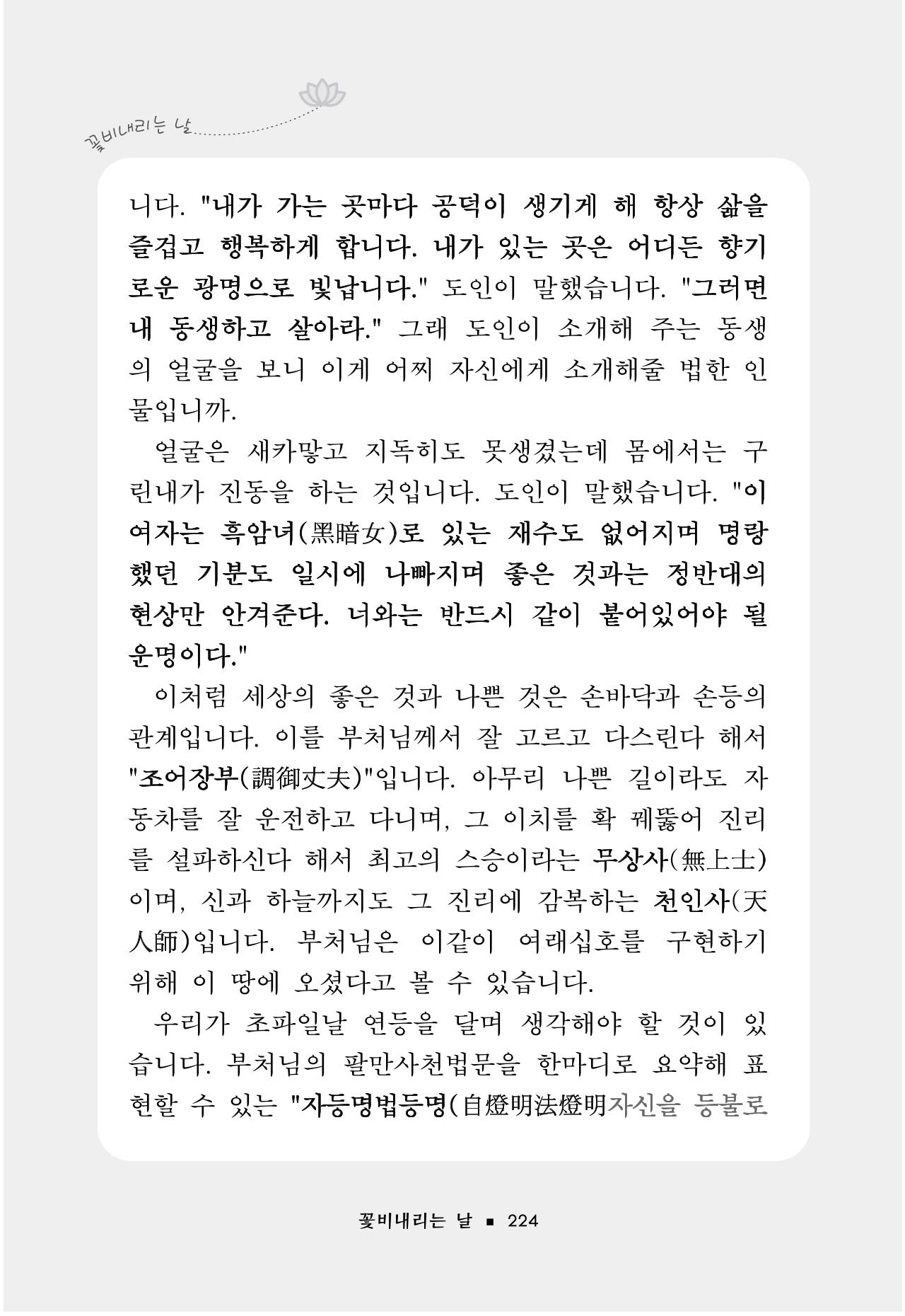 꽃비내리는날 228페이지