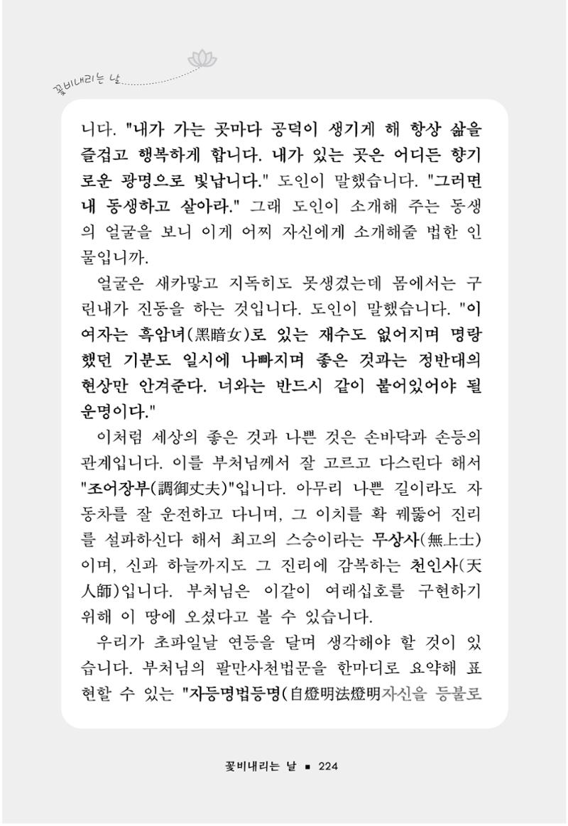 꽃비내리는날 228페이지