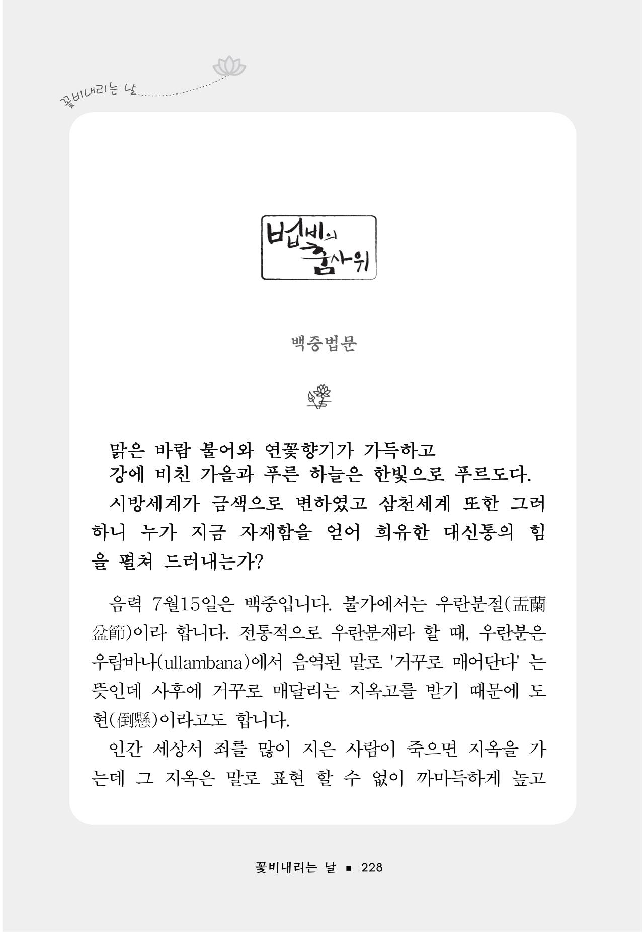 꽃비내리는날 232페이지