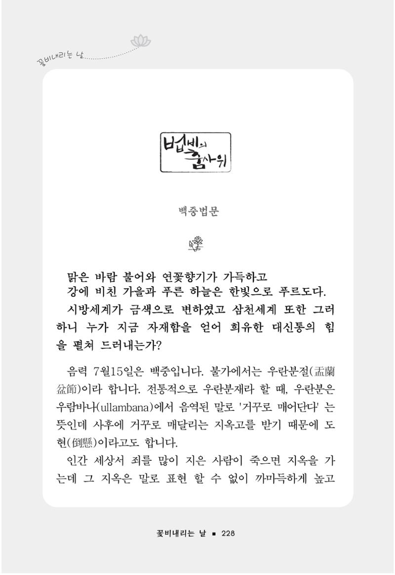 꽃비내리는날 232페이지