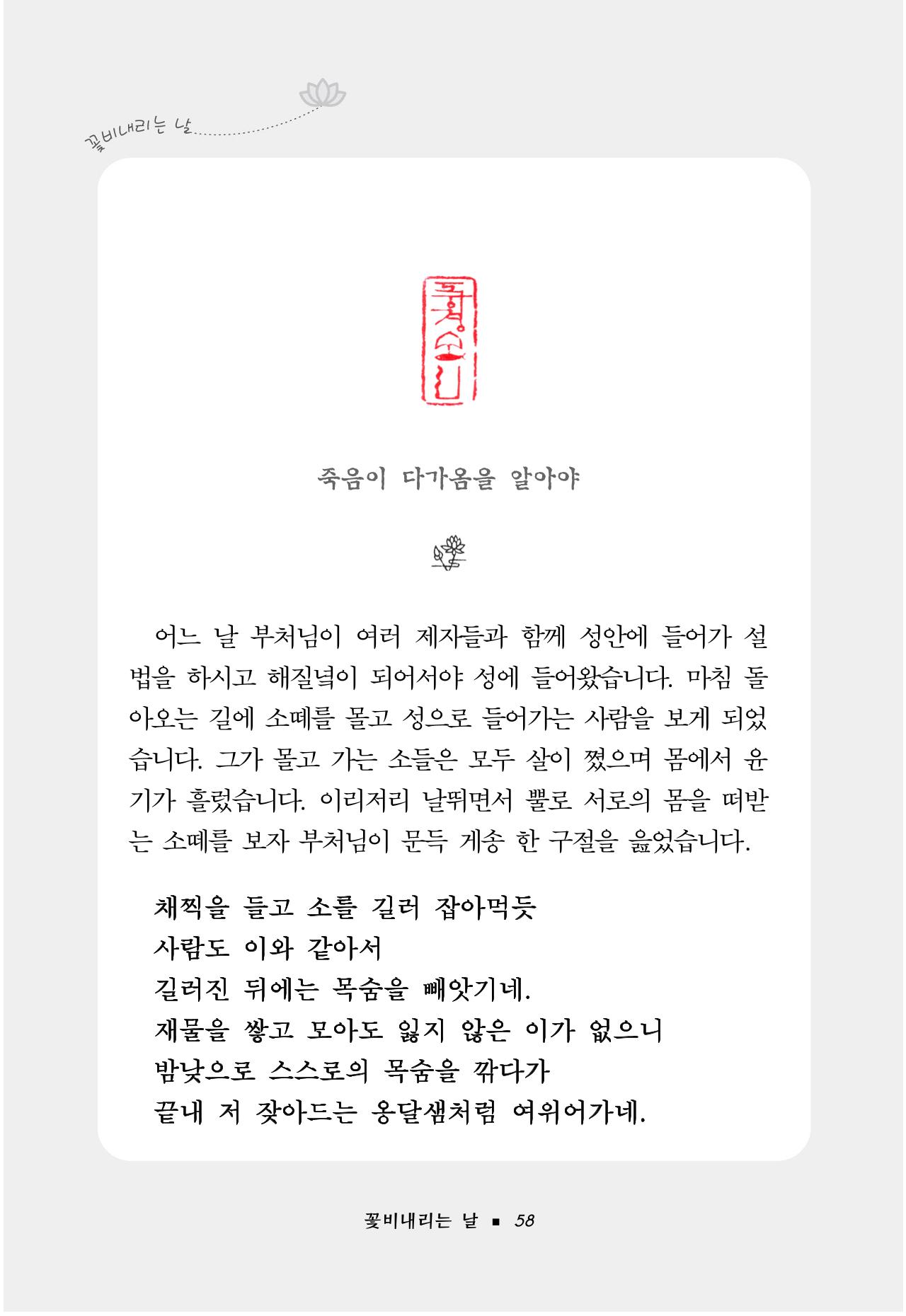 꽃비내리는날 62페이지