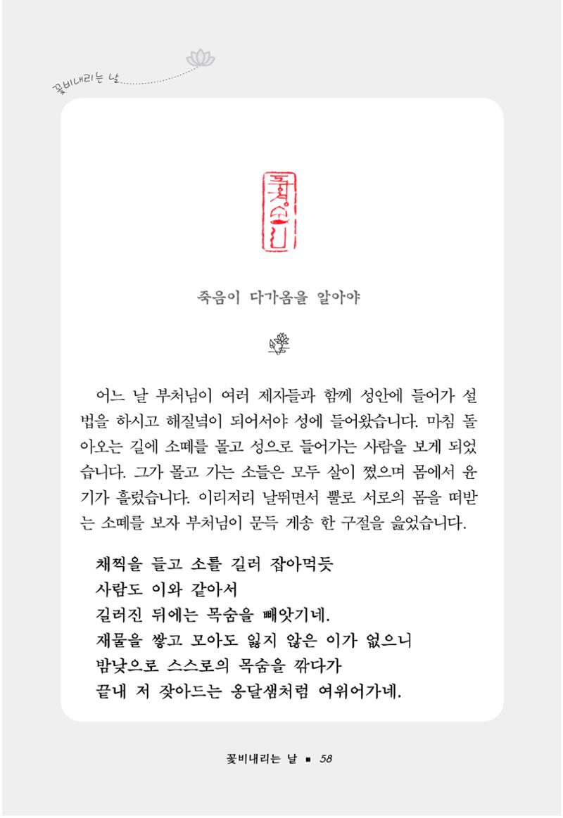 꽃비내리는날 62페이지