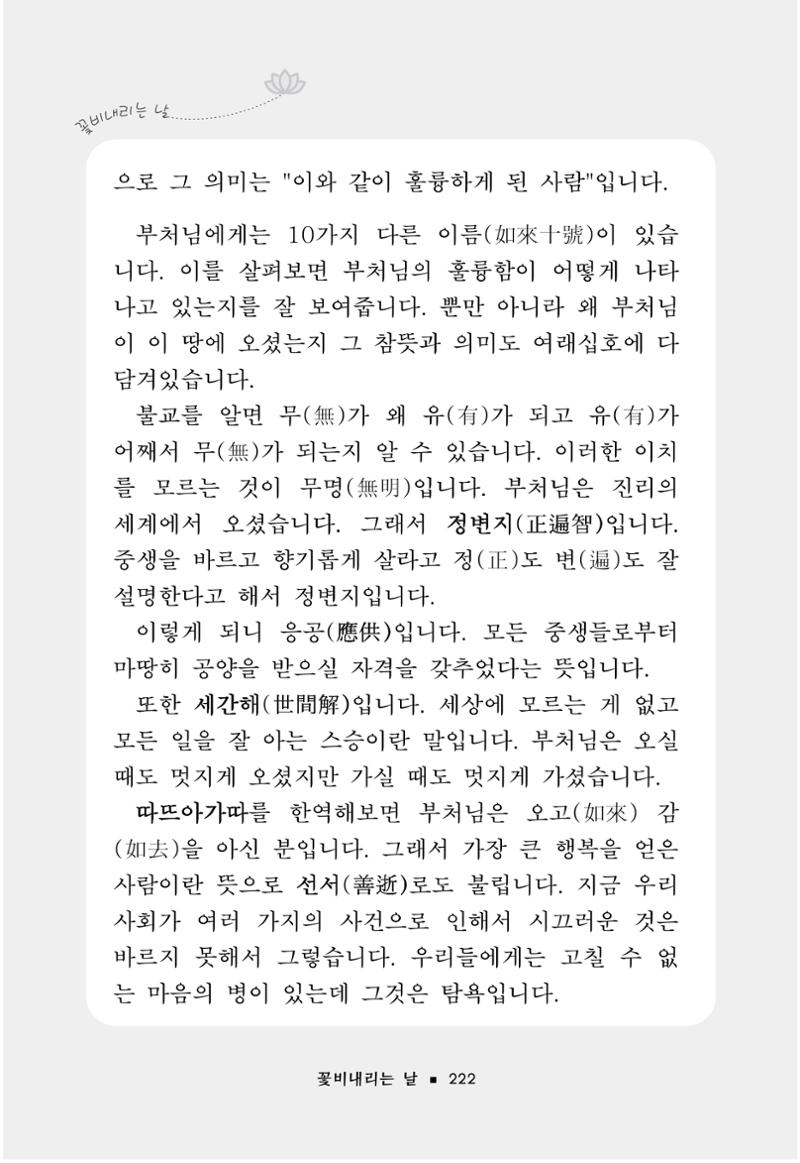 꽃비내리는날 226페이지