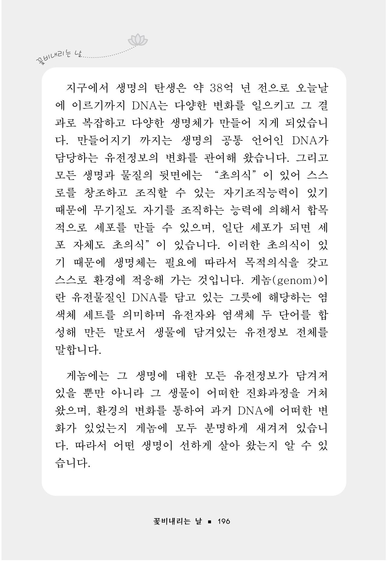 꽃비내리는날 200페이지