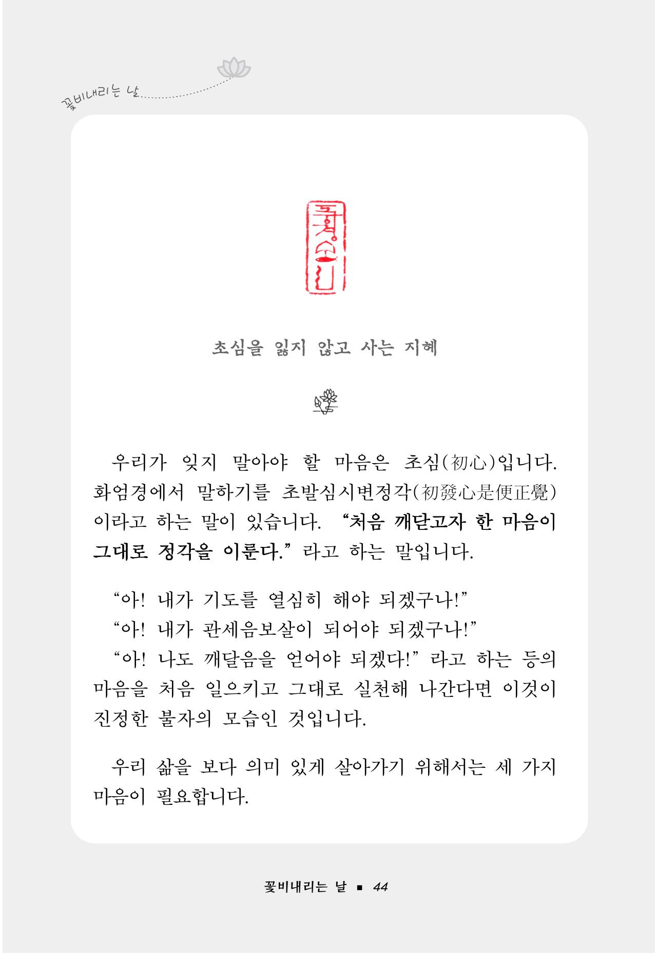 꽃비내리는날 48페이지