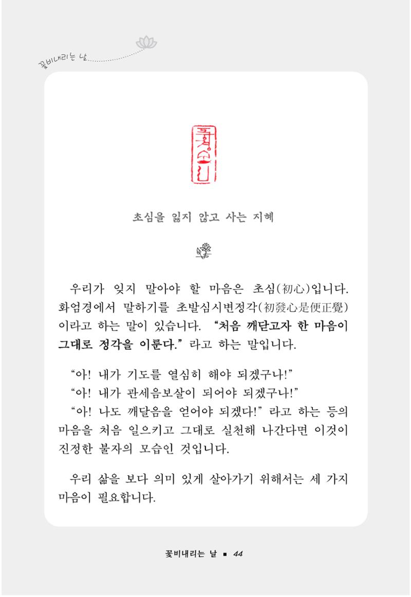 꽃비내리는날 48페이지