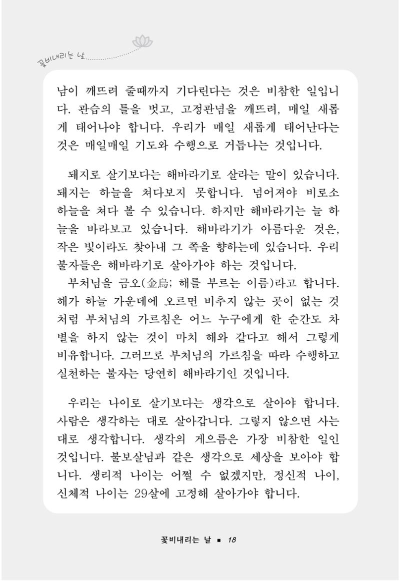 꽃비내리는날 22페이지