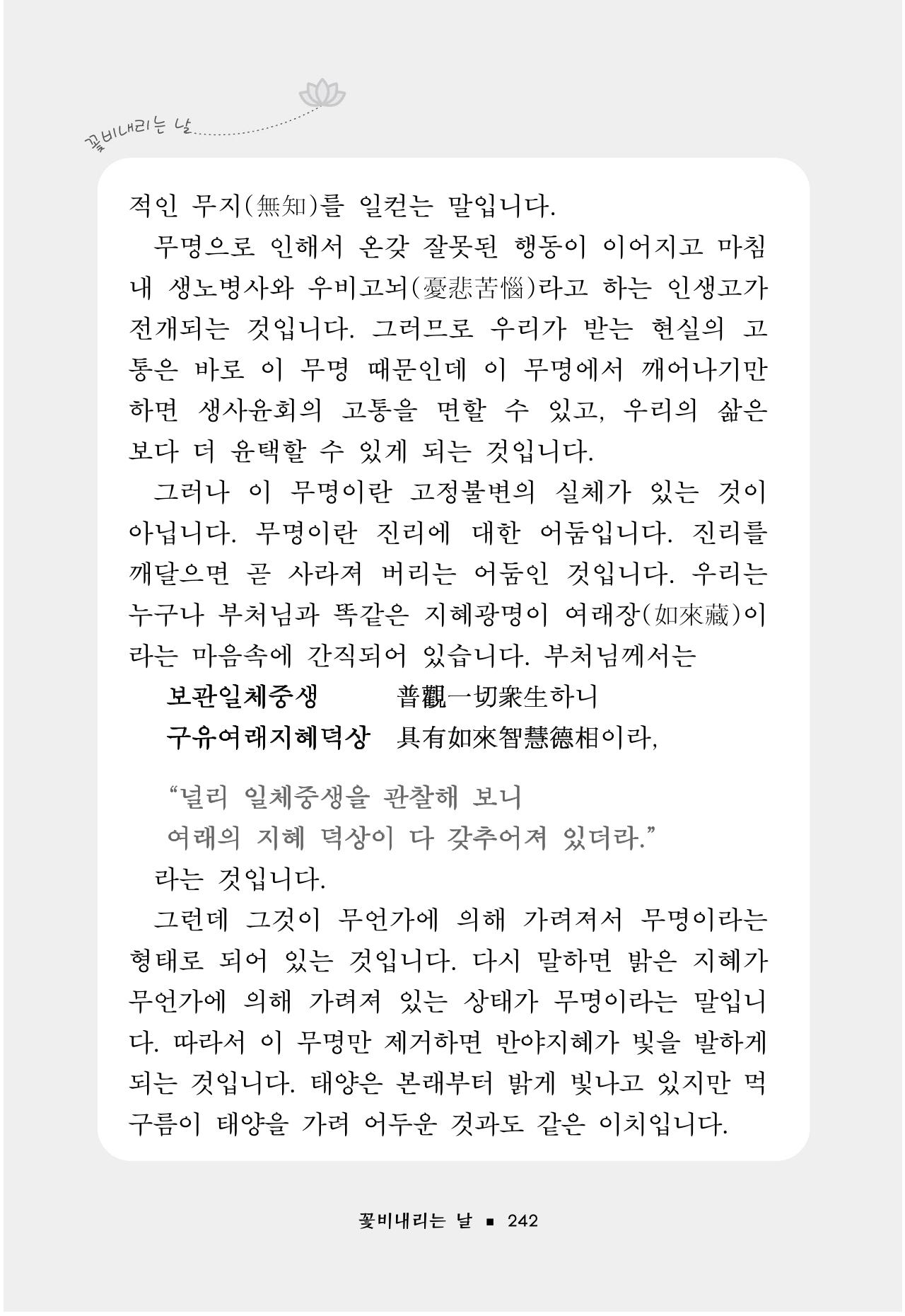 꽃비내리는날 246페이지