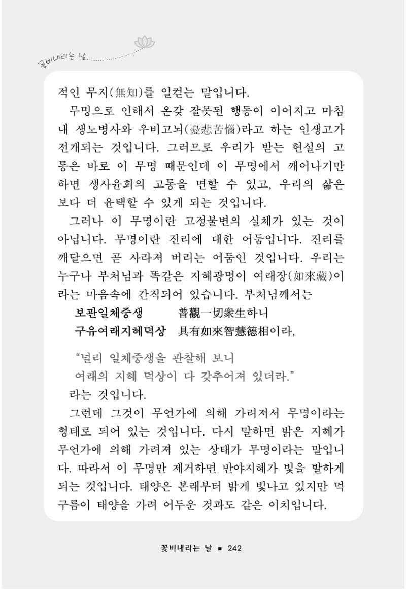 꽃비내리는날 246페이지