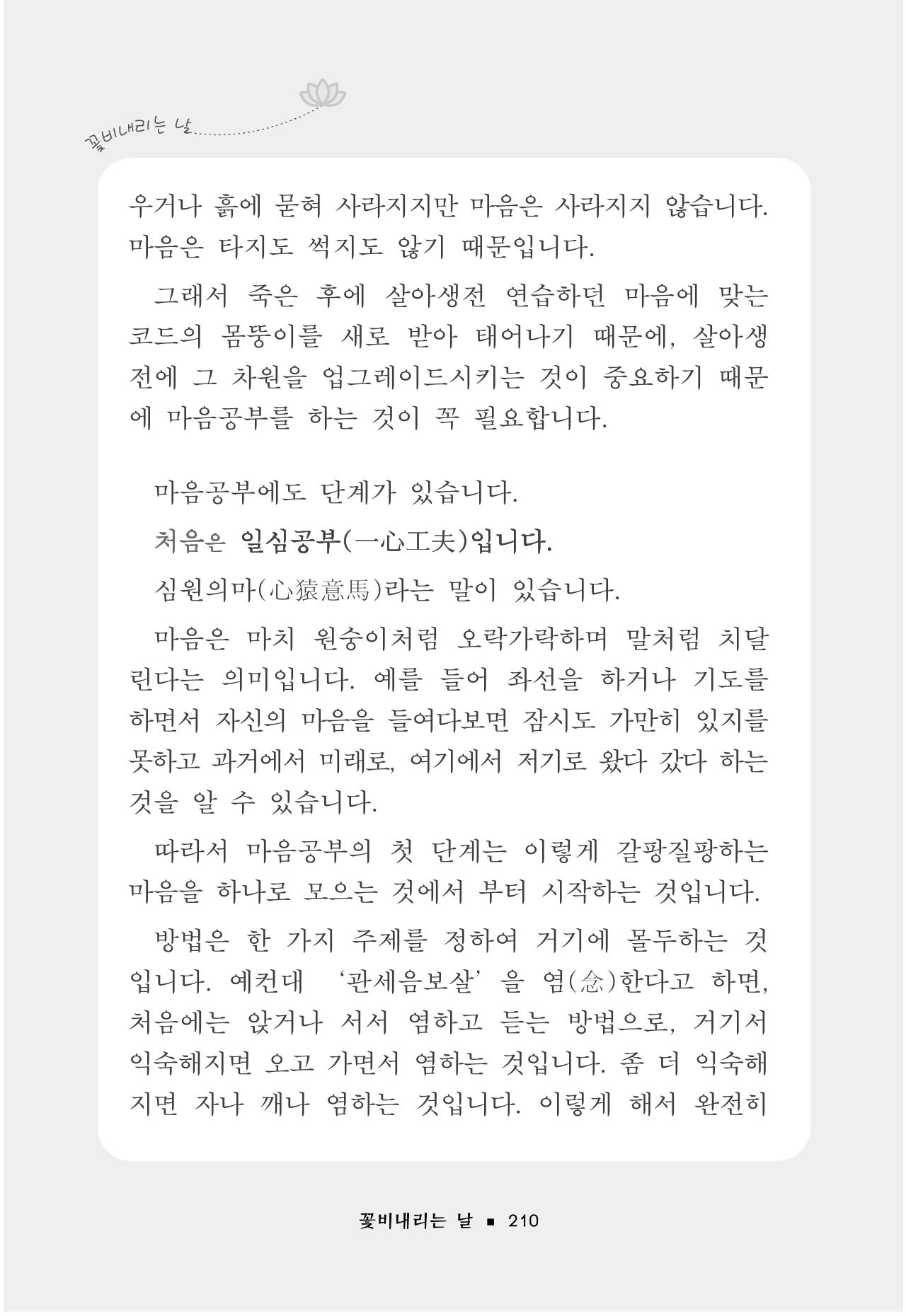 꽃비내리는날 214페이지