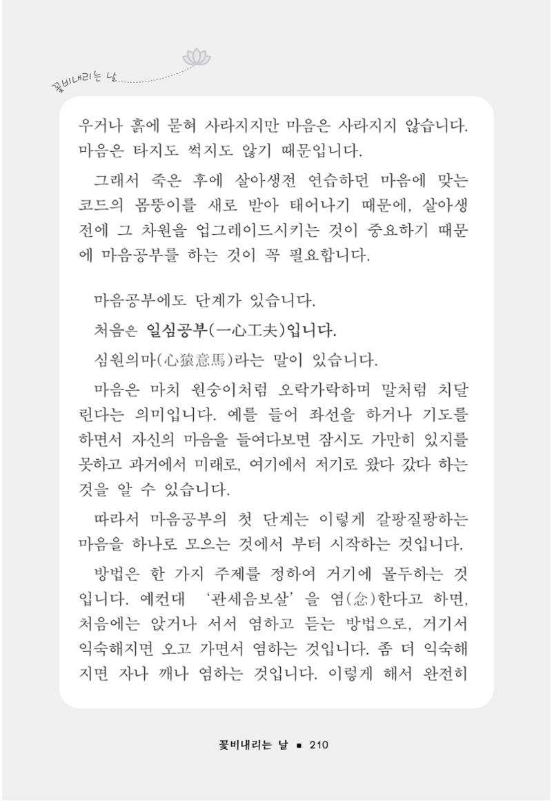 꽃비내리는날 214페이지